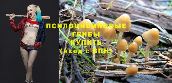 прущая мука Заводоуковск