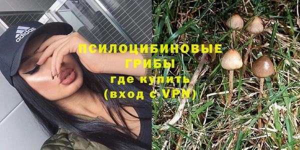 a pvp Заволжск