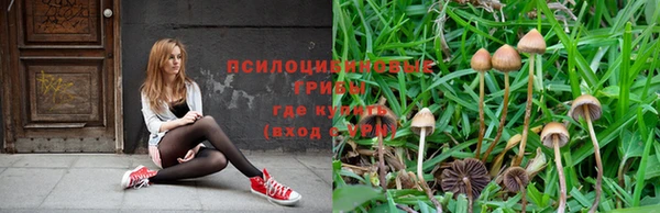 a pvp Заволжск