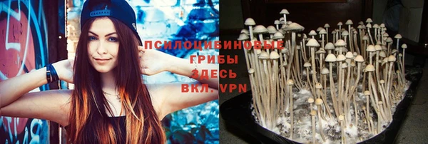 a pvp Заволжск