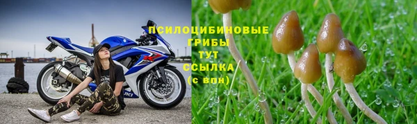a pvp Заволжск