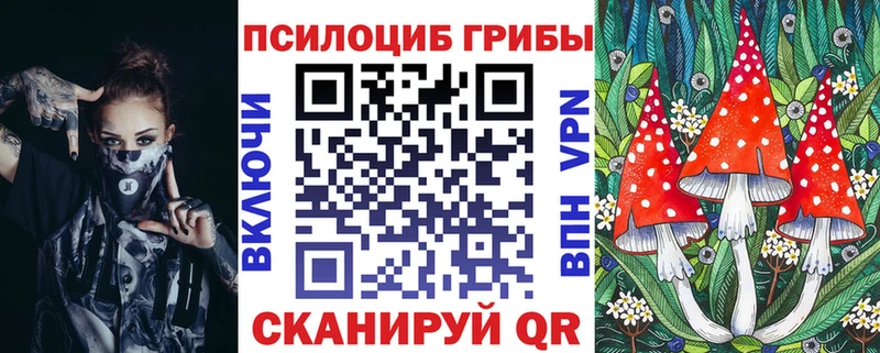 Купить  Гвардейск  Псилоцибиновые грибы Cubensis 